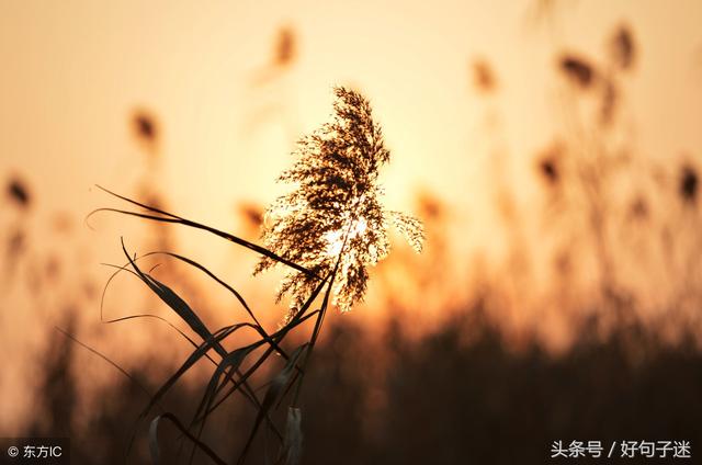 经典句子大全