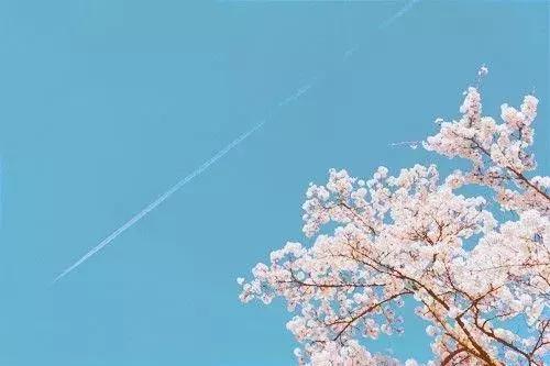 生活句子唯美 生活句子唯美
