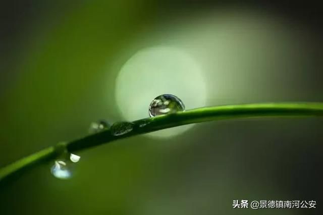 千古绝句最美古诗文 千古绝句最美古诗文