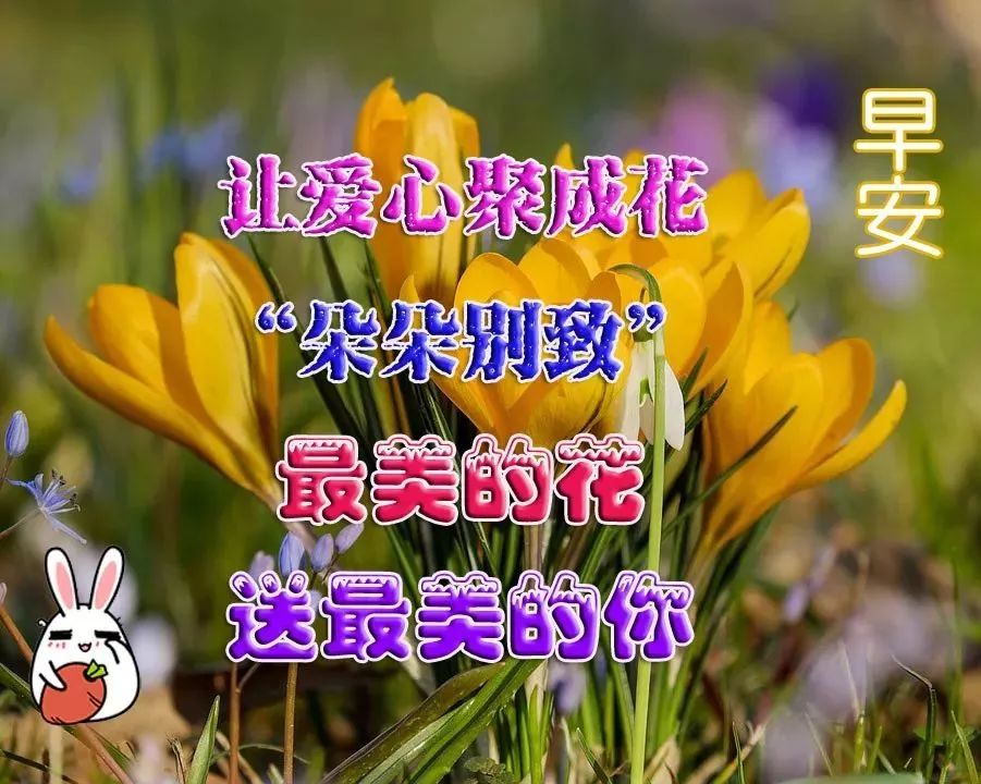 早上好的温馨幽默问候句子_(早上好问候语温馨短句)