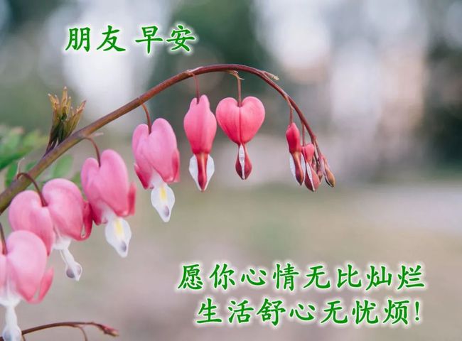人生感悟的句子励志(精美句子 励志 经典)