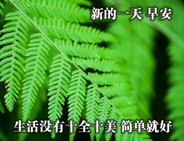 温馨的陪伴的唯美句子 温馨的陪伴的唯美句子