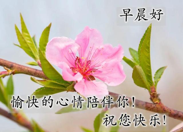 温馨的陪伴的唯美句子 温馨的陪伴的唯美句子