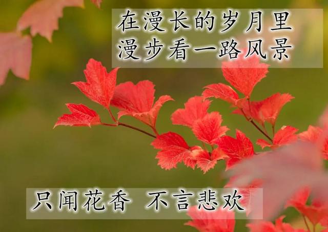 温馨的陪伴的唯美句子 温馨的陪伴的唯美句子
