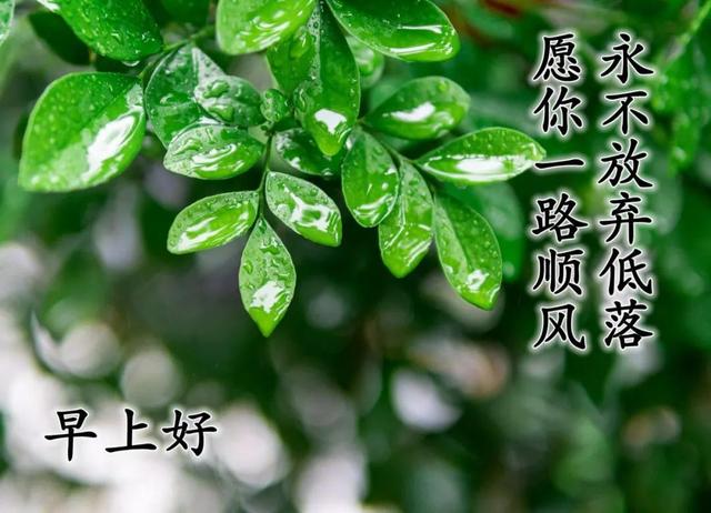 温馨的陪伴的唯美句子 温馨的陪伴的唯美句子