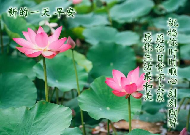 温馨的陪伴的唯美句子 温馨的陪伴的唯美句子