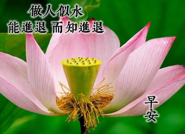 温馨的陪伴的唯美句子 温馨的陪伴的唯美句子