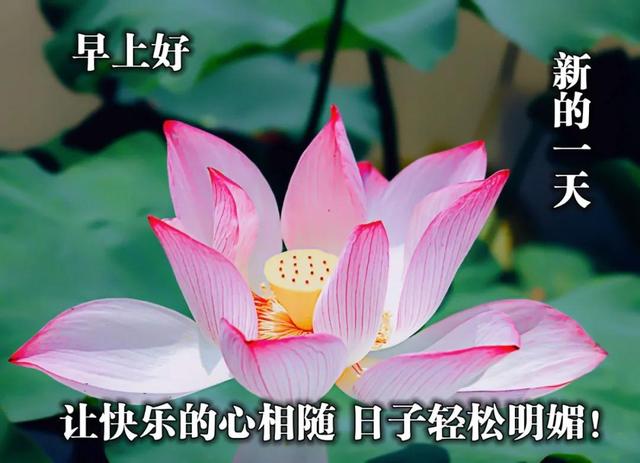 温馨的陪伴的唯美句子 温馨的陪伴的唯美句子