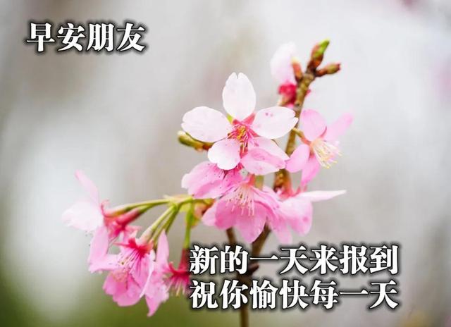 温馨的陪伴的唯美句子 温馨的陪伴的唯美句子