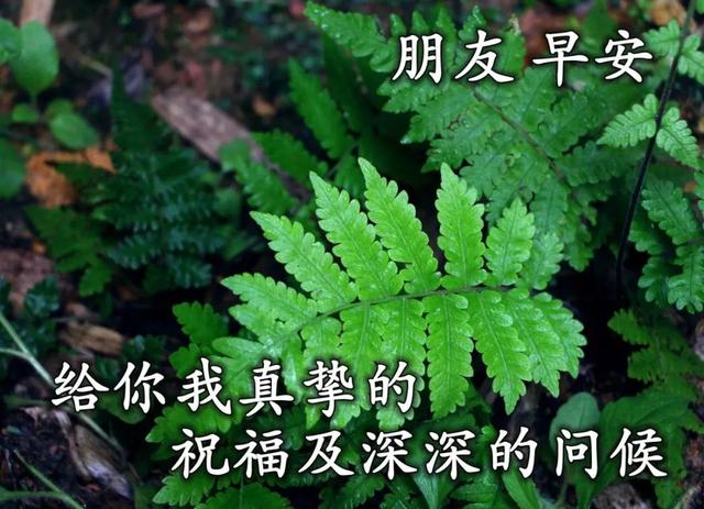温馨的陪伴的唯美句子 温馨的陪伴的唯美句子