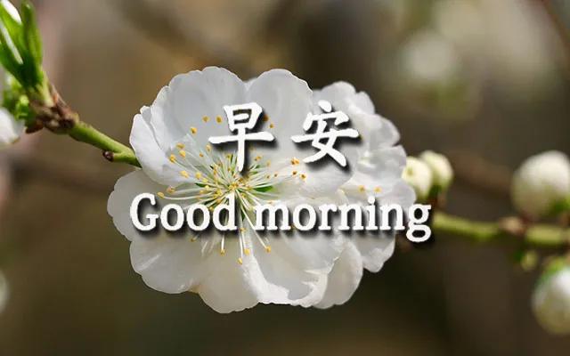 温馨的家温暖的心句子 温馨的家温暖的心句子