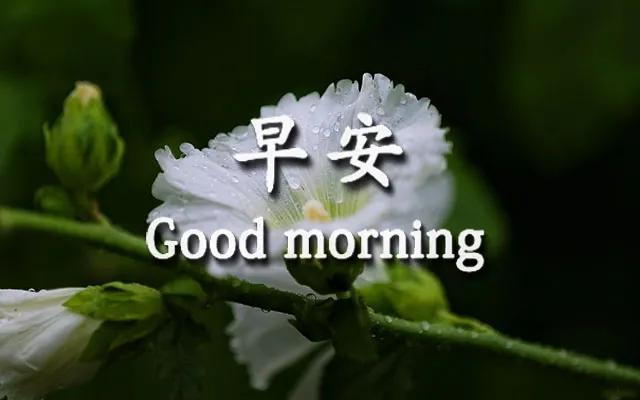 温馨的家温暖的心句子 温馨的家温暖的心句子