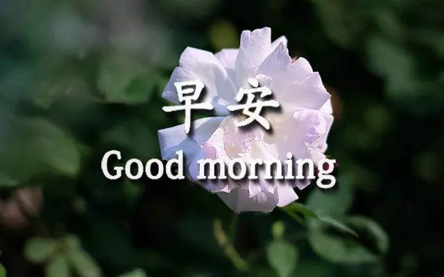 温馨的家温暖的心句子 温馨的家温暖的心句子