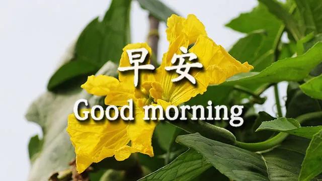 温馨的家温暖的心句子 温馨的家温暖的心句子