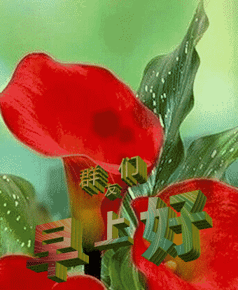 早上雨天问候语温馨的句子 早上雨天问候语温馨的句子