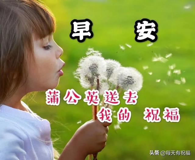 幼儿早上问好的温馨句子 幼儿早上问好的温馨句子