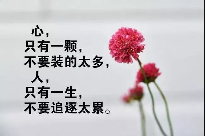 人生艰难的经典句子_(感悟人生的经典句子)