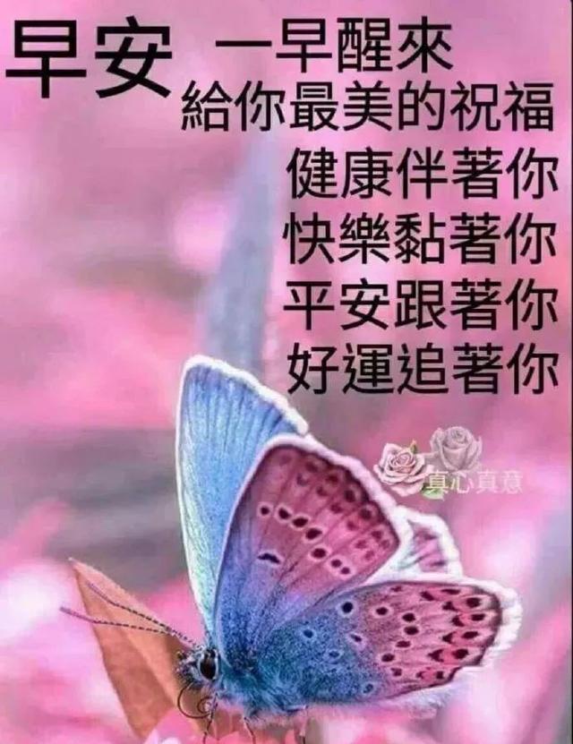早晨祝福语2021简短暖心短句