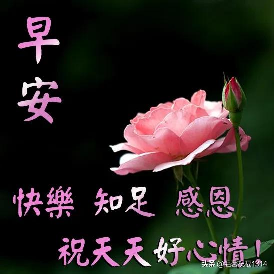 早上问好的温馨句子加图片 早上问好的温馨句子加图片