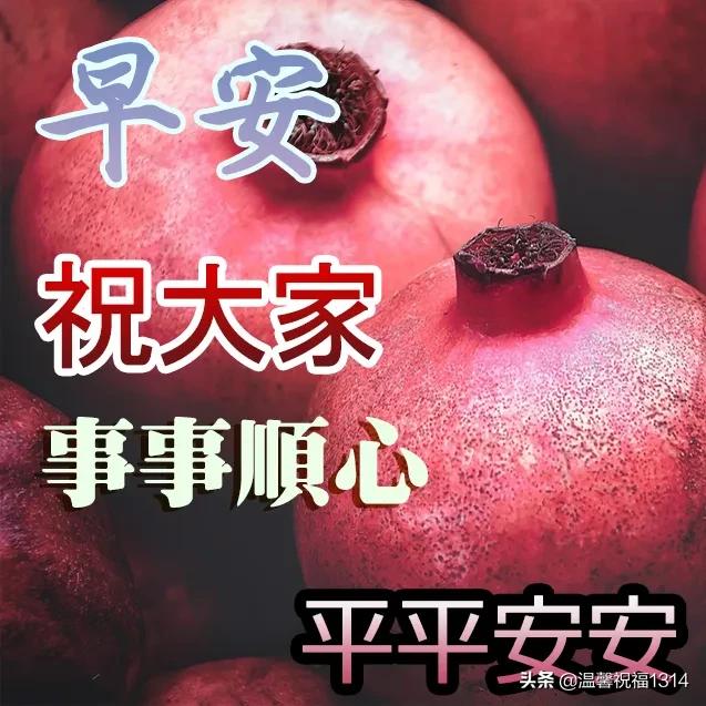 早上问好的温馨句子加图片 早上问好的温馨句子加图片