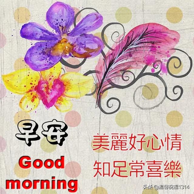 早上问好的温馨句子加图片 早上问好的温馨句子加图片