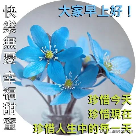 早上问好的温馨句子加图片 早上问好的温馨句子加图片