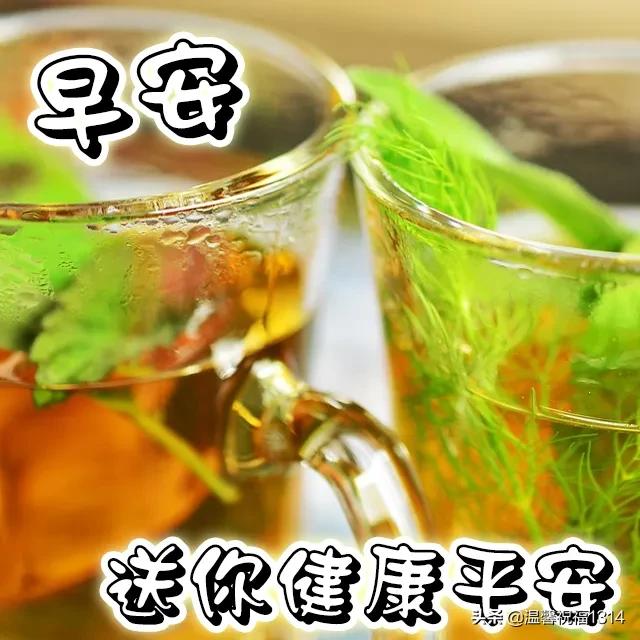早上问好的温馨句子加图片 早上问好的温馨句子加图片