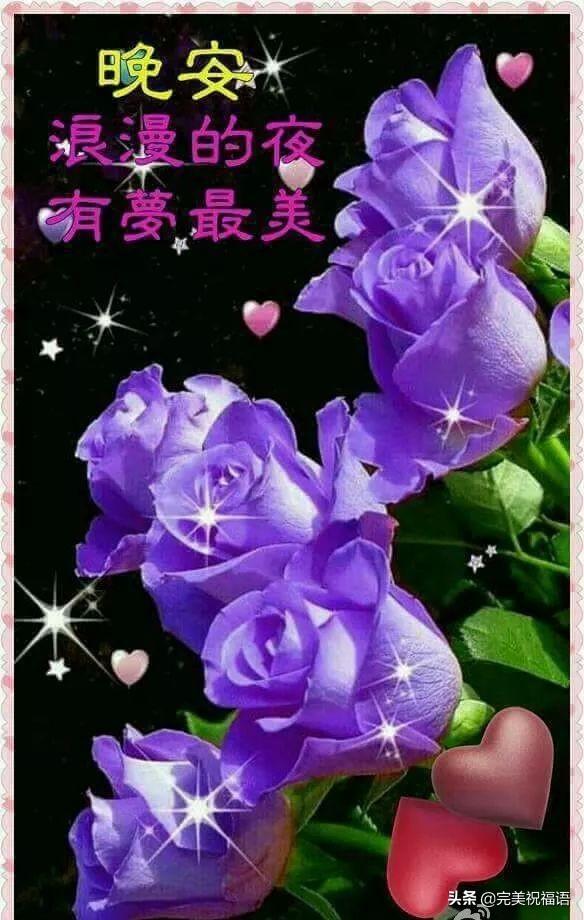 晚上好温馨句子图片大全 晚上好温馨句子图片大全