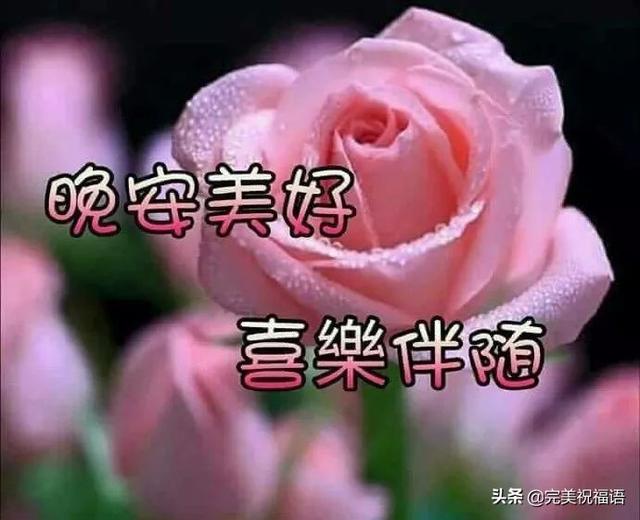 晚上好温馨句子图片大全 晚上好温馨句子图片大全
