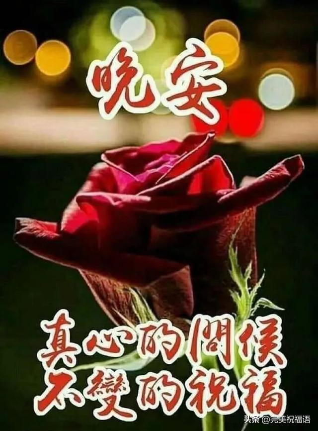 晚上好温馨句子图片大全 晚上好温馨句子图片大全