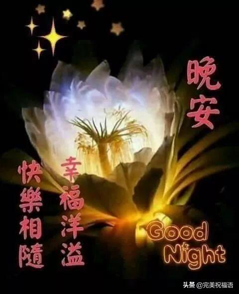 晚上好温馨句子图片大全 晚上好温馨句子图片大全