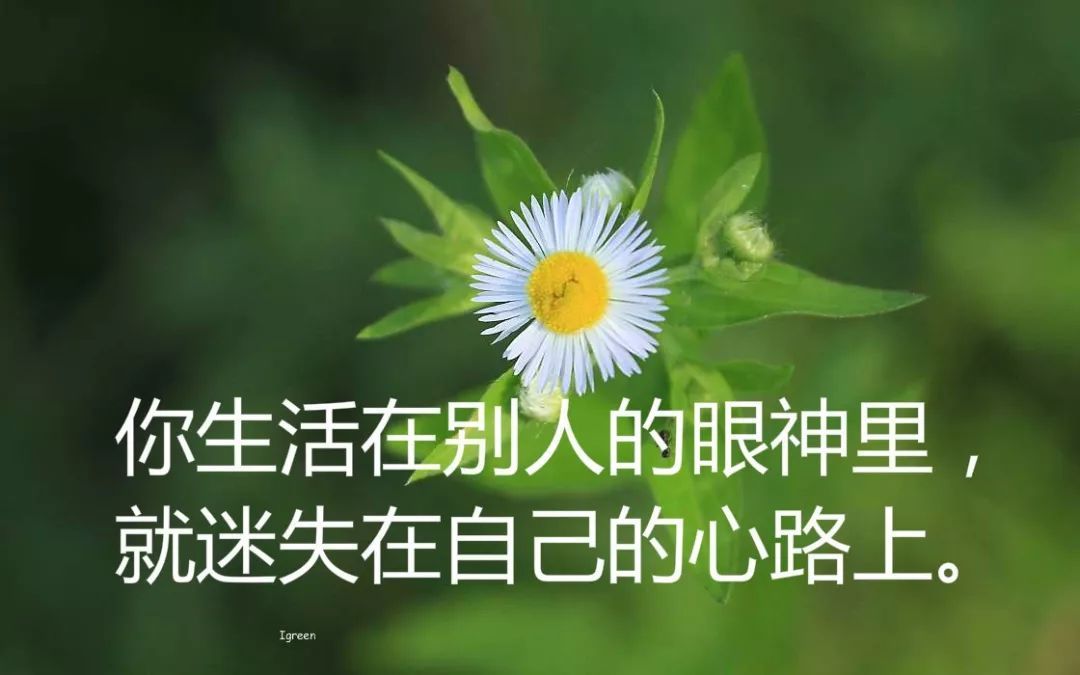 经典名言名句人生哲理(名人名言语录摘抄)