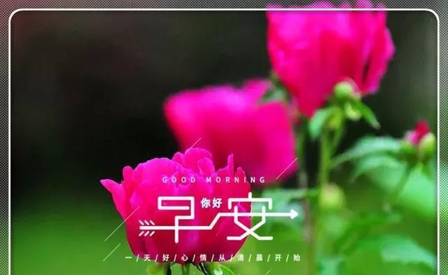 早上好温馨句子图片大全_(早上好问候图文)