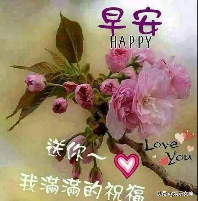微信群温馨早上好的句子 微信群温馨早上好的句子