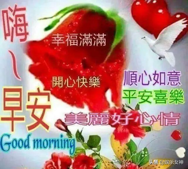 微信群温馨早上好的句子 微信群温馨早上好的句子