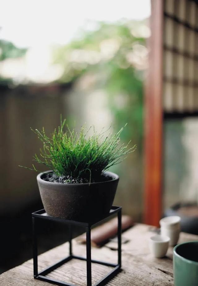 房子温馨的优美句子 房子温馨的优美句子