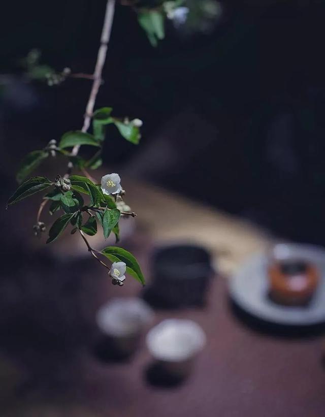 房子温馨的优美句子 房子温馨的优美句子