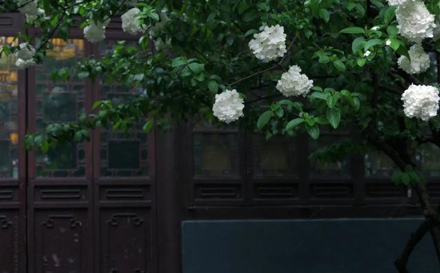 房子温馨的优美句子 房子温馨的优美句子