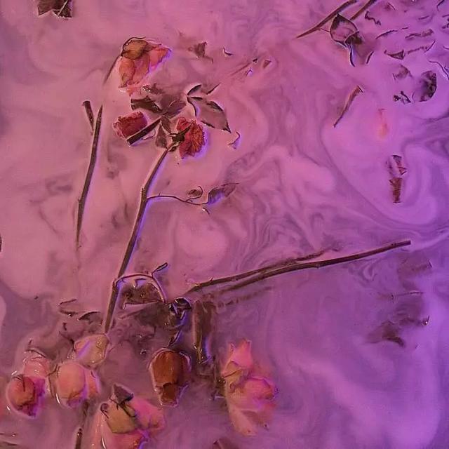 抖音点赞高的句子正能量温馨 抖音点赞高的句子正能量温馨