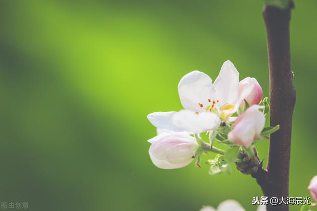 逛公园的温馨句子冬天的句子 逛公园的温馨句子冬天的句子