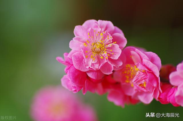 逛公园的温馨句子冬天的句子 逛公园的温馨句子冬天的句子