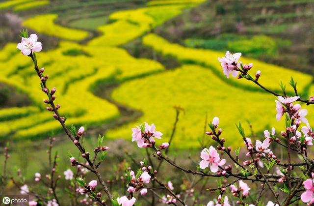 好句子摘抄短句