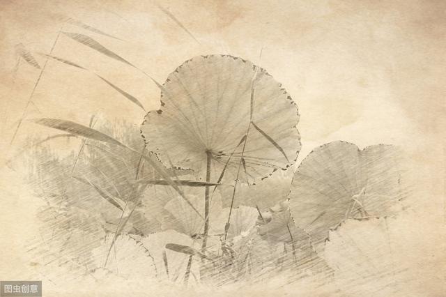 经典名句分享 修身