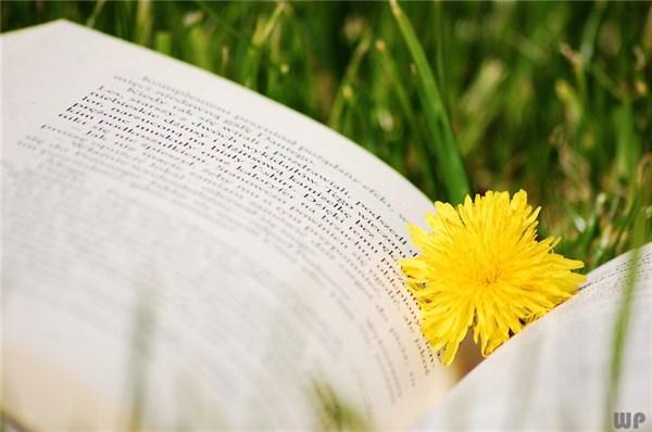 工作发圈的精致句子