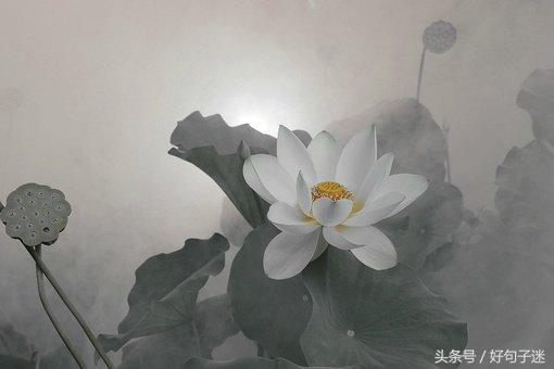 发朋友圈经典段子人生感悟(经典句子朋友圈说说)