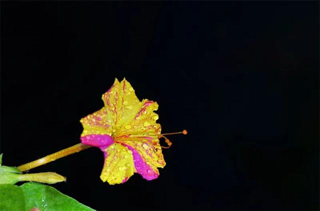 个性经典短句大全