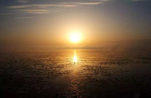 优美的短语句不超10字