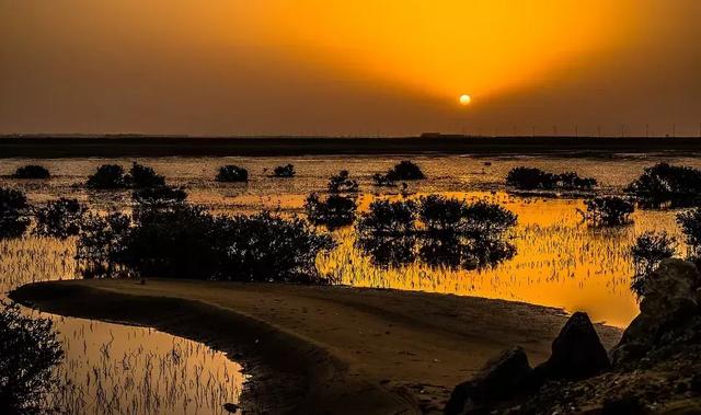 优美的短语句不超10字