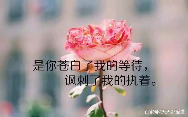 经典名句大全人生哲理(必读40条国学经典名句)