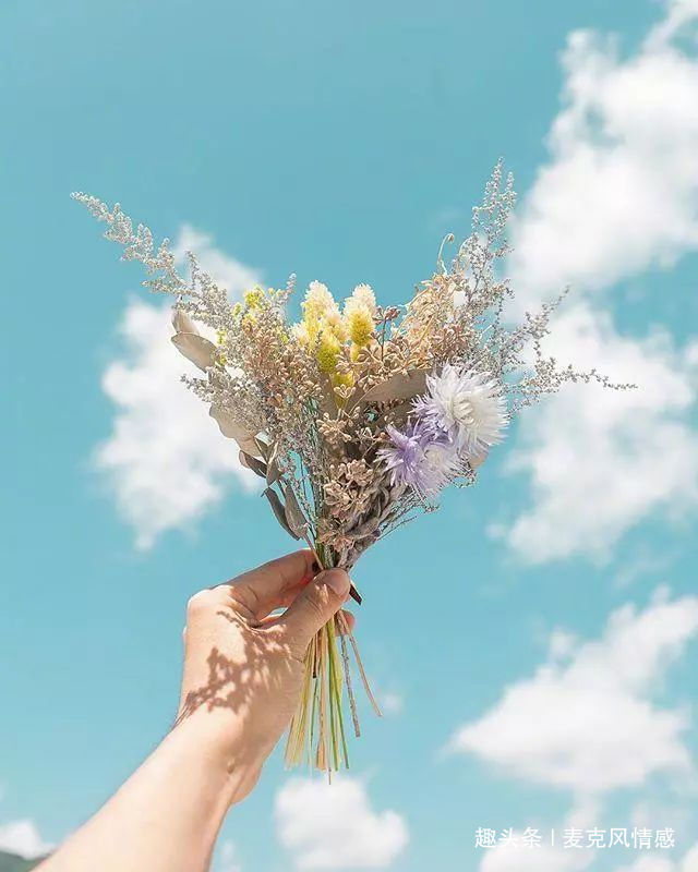 发朋友圈现实的句子_(社会人心最现实的话)